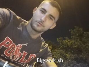 Bigcock_sh