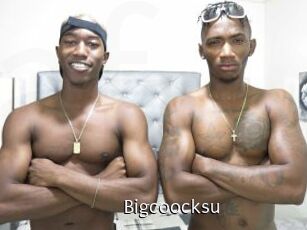 Bigcoocksu
