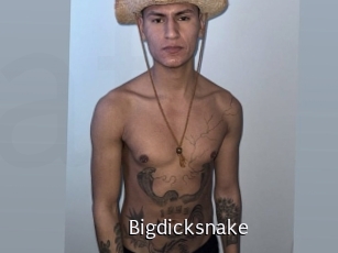 bigdicksnake Anal Fist