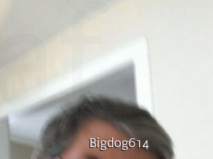 Bigdog614