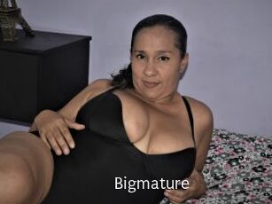 Bigmature