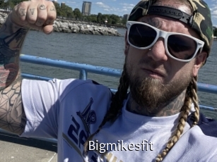 Bigmikesfit