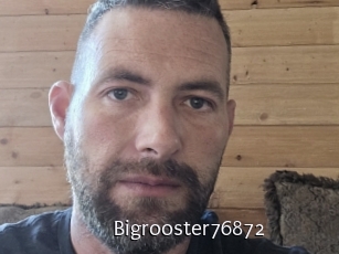 Bigrooster76872