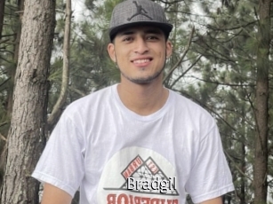 Bradgil