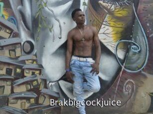 Brakbigcockjuice
