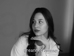 Breannebremmer