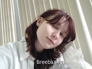 Breebaskett