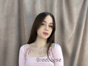 Breebeese