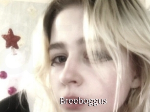 Breeboggus