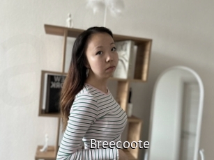 Breecoote