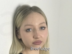Breefudge