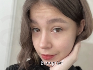 Breegrief