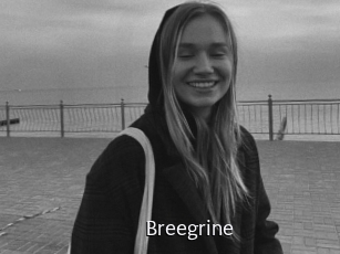 Breegrine