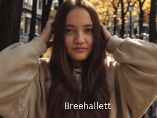 Breehallett