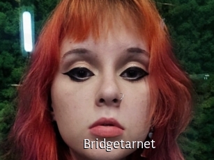 Bridgetarnet
