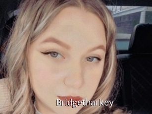 Bridgetharkey