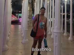 Brixebreo