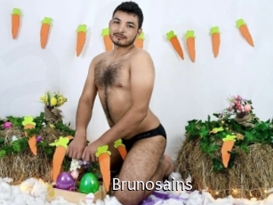 brunosains Anal Fist