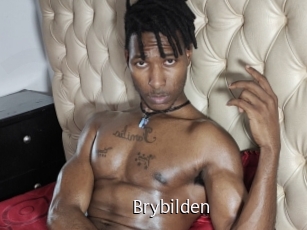 Brybilden