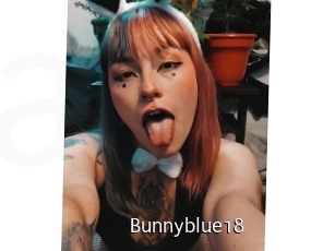 Bunnyblue18