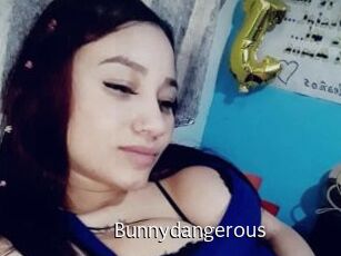 Bunnydangerous