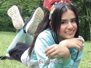 Bunnydidi
