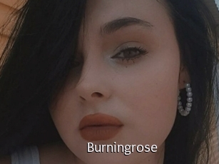 Burningrose