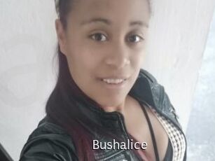 Bushalice