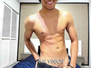 CALVINJOB Anal Fist