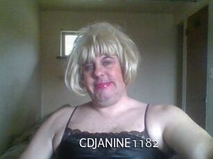 CDJANINE1182