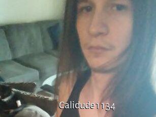 Calidude1134