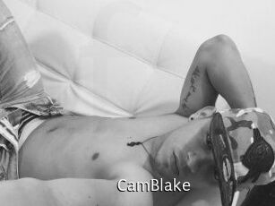 Cam_Blake Anal Fist