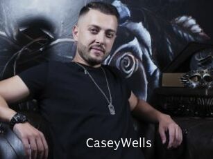 CaseyWells Anal Fist