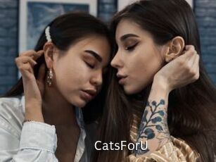 CatsForU