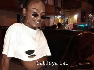 Cattleya_bad