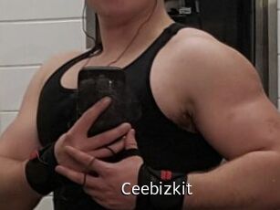 Ceebizkit