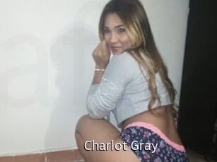 Charlot_Gray Anal Fist