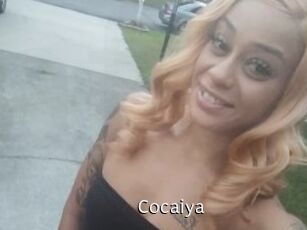 Cocaiya Anal Fist