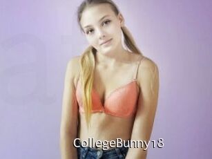 CollegeBunny18