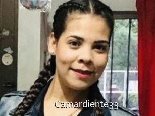camardiente33 Anal Fist