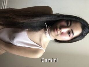 Camini