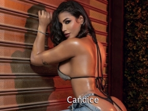 candice Anal Fist