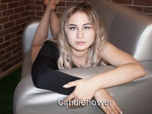 Candieflower