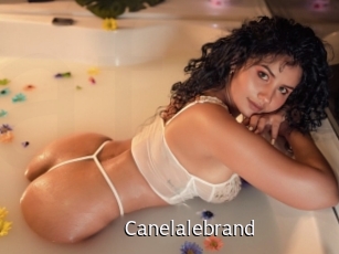 canelalebrand Anal Fist