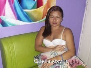canelasexy21 Anal Fist
