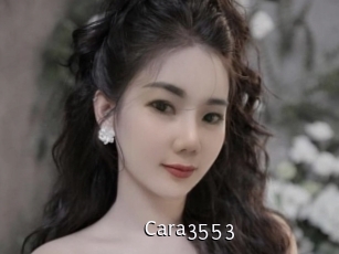 cara3553 Anal Fist