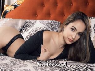 carinascott Anal Fist