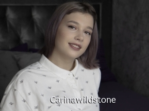 carinawildstone Anal Fist