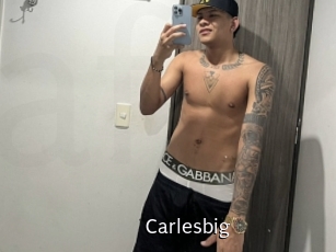 carlesbig Anal Fist