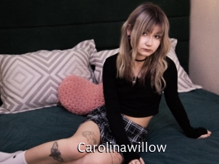 Carolinawillow